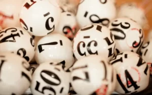 lottery in Punjab